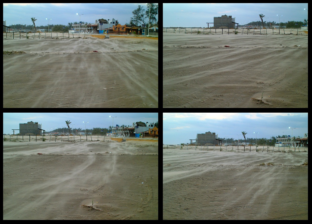 (08) beach wind montage (day 3).jpg   (1000x720)   289 Kb                                    Click to display next picture